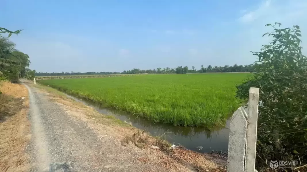 Bán đất vườn mặt tiền kênh ở xã Tân Hòa, Bến Lức dt 7896m2 giá 7,2 tỷ