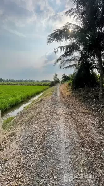 Bán đất vườn mặt tiền kênh ở xã Tân Hòa, Bến Lức dt 7896m2 giá 7,2 tỷ