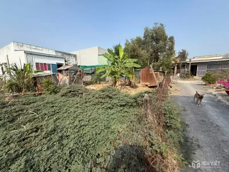 Bán nền thổ cư đường xe tải 10t ở ấp 9 , Lương Hòa dt 200m2 giá 2 tỷ