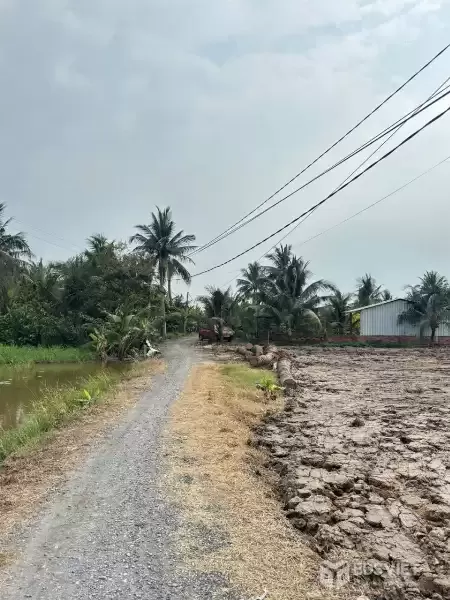 Bán đất thổ lúa đường beton xã Nhựt Chánh tdt 572m2 ( 145m2 thổ cư) giá 1,5 tỷ