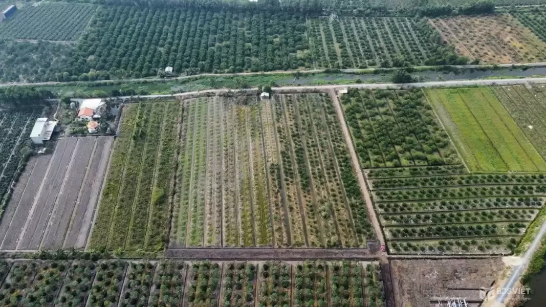 Bán đất thổ vườn đường đá xanh xe hơi Thạnh Hòa, Bến Lức tdt 16000m2 ( 2063m2 thổ) giá 15 tỷ