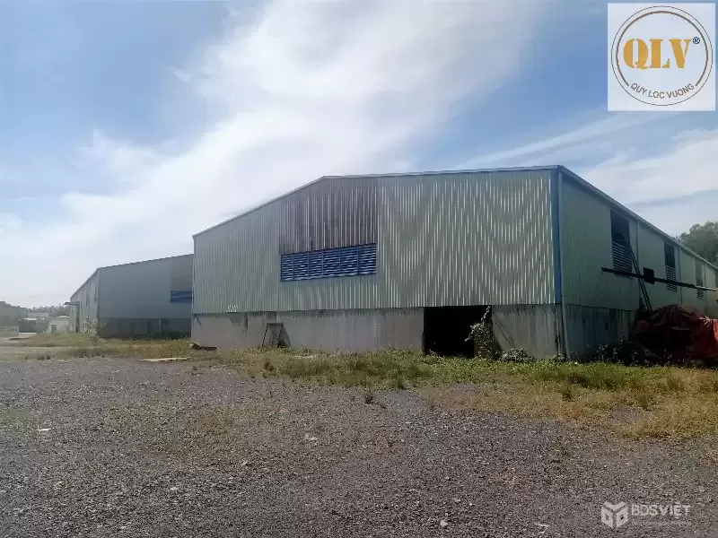 BÁN NHÀ XƯỞNG QL22B, CẨM GIANG, GÒ DẦU, TN 48.888m²