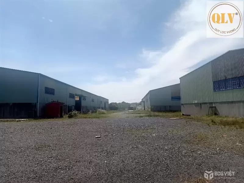 BÁN NHÀ XƯỞNG QL22B, CẨM GIANG, GÒ DẦU, TN 48.888m²