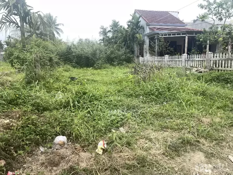 Bán đất kiệt Nguyễn Tri Phương 519,3m2 full thổ cư, cách 10m ra đường chính, giá 6.9 tỷ