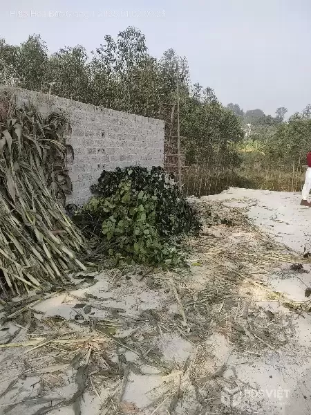 Bán gấp giá rẻ nhà, đất Chương Dương 767m, cấp 4, mặt tiền 14m, 2 tỷ Thường Tín.