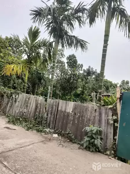 Bán gấp giá rẻ nhà, đất Chương Dương 767m, cấp 4, mặt tiền 14m, 2 tỷ Thường Tín.