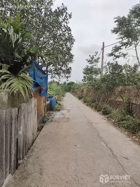 Bán gấp giá rẻ nhà, đất Chương Dương 767m, cấp 4, mặt tiền 14m, 2 tỷ Thường Tín.