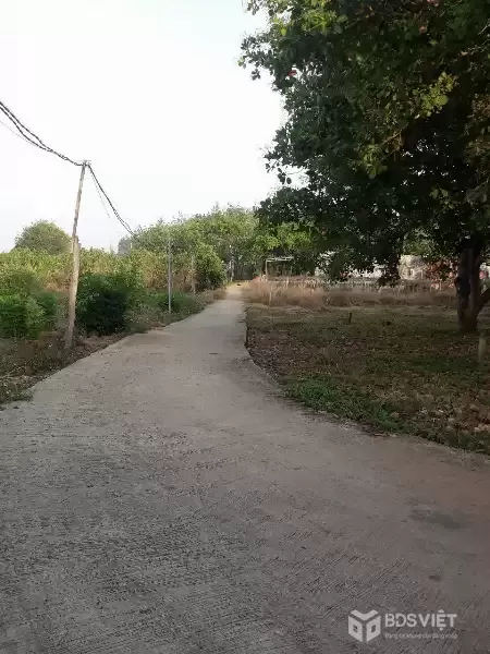 GIÁ TỐT - CHÍNH CHỦ Cần Bán Gấp Lô Đất Vị Trí Tại  Thị Trấn Thanh Bình, Bù Đốp, Bình Phước