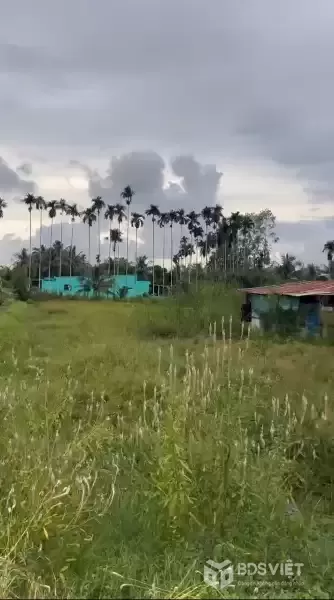 Bán đất mặt tiền đường beton xã Hòa Khánh Tây tdt 1350m2 ( 400m2 thổ) giá 2,7 tỷ