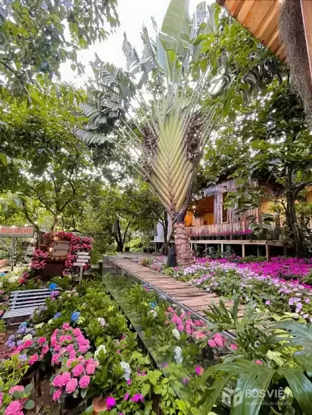 Cho thuê Villa sân vườn 700m2 đèo Prenn Đà Lạt giá thuê 26 triệu