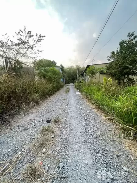 Bán đất thổ cư hẻm xe hơi đường đá xanh xã Tân Thạnh Đông dt 174m2 giá 2,3 tỷ