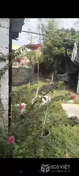 ĐẤT ĐẸP - GIÁ ĐẦU TƯ - CHÍNH CHỦ CẦN BÁN LÔ MẶT TIỀN TẠI Xã Phước Vĩnh An, củ Chi ,TP HCM