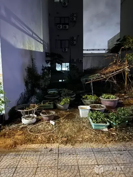 Bán đất Trần Đức Thông 80m² (5x16) giá 11.9 tỷ – cách biển vài bước