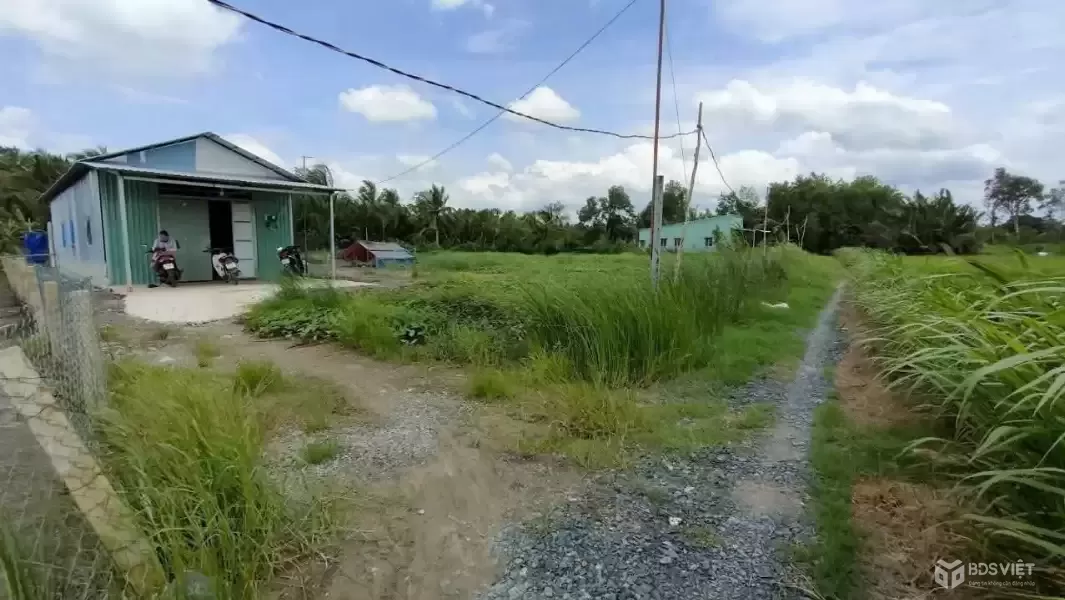 Bán 1000m2 đất lúa đường đá xanh xe hơi tới đất xã Nhựt Chánh , Bến Lức giá 1 tỷ