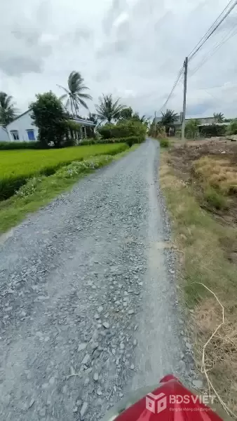 Bán 1000m2 đất lúa đường đá xanh xe hơi tới đất xã Nhựt Chánh , Bến Lức giá 1 tỷ