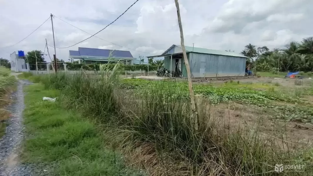 Bán 1000m2 đất lúa đường đá xanh xe hơi tới đất xã Nhựt Chánh , Bến Lức giá 1 tỷ