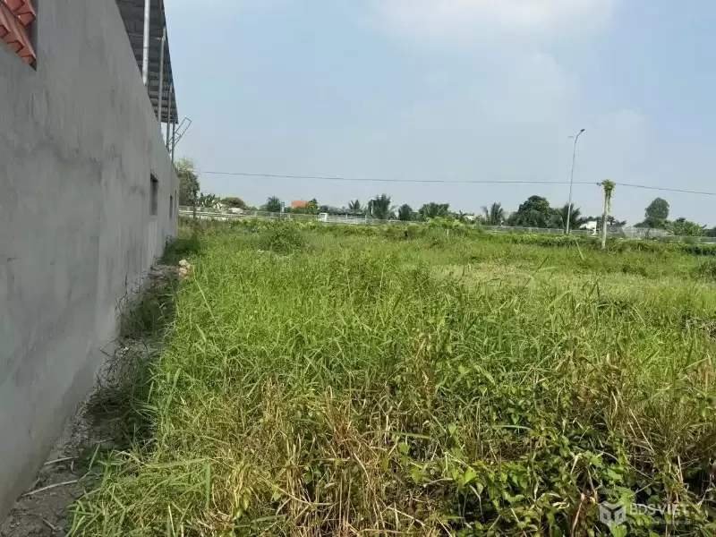 Bán đất thổ cư xã Phước Lý , Cần Giuộc dt 223m2 giá chốt 3 tỷ