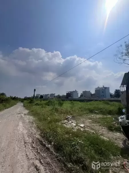 Bán đất thổ cư xã Phước Lý , Cần Giuộc dt 223m2 giá chốt 3 tỷ