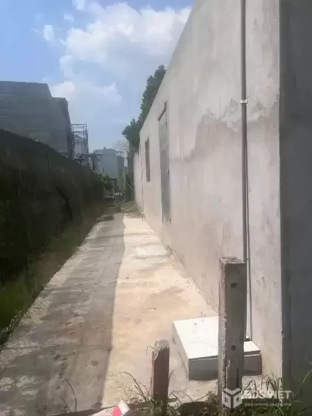 Bán đất thổ cư xã Phước Lý , Cần Giuộc dt 223m2 giá chốt 3 tỷ