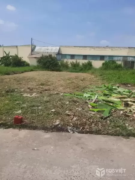 Bán 2 nền thổ cư liền kề đường beton xe hơi xã Phước Lâm , Cần Giuộc dt 125m2 giá 1,3 tỷ / lô