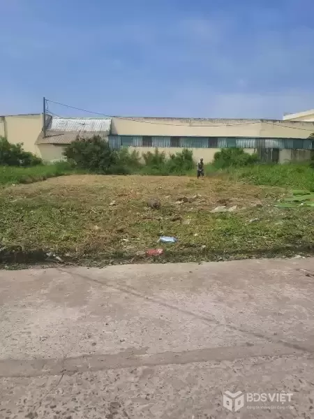 Bán 2 nền thổ cư liền kề đường beton xe hơi xã Phước Lâm , Cần Giuộc dt 125m2 giá 1,3 tỷ / lô