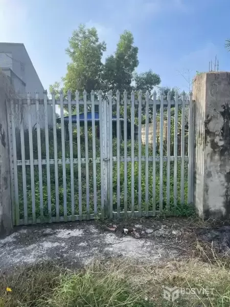 Bán đất  đường beton có cổng rào ở thị trấn Hậu Nghĩa dt 210m2 full thổ giá 2,2 tỷ