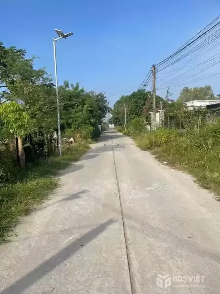 Bán đất  đường beton có cổng rào ở thị trấn Hậu Nghĩa dt 210m2 full thổ giá 2,2 tỷ