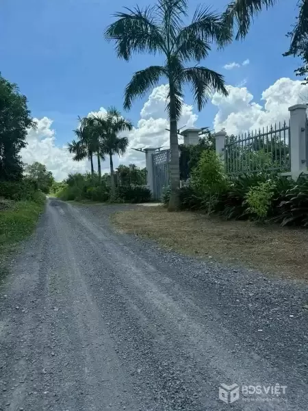 Bán đất vườn đường đá xanh xe oto tới đất xã Thạnh Hòa, Bến Lức dt 1000m2 giá chốt 1,25 tỷ