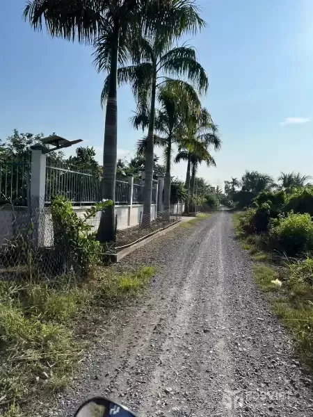 Bán đất vườn đường đá xanh xe oto tới đất xã Thạnh Hòa, Bến Lức dt 1000m2 giá chốt 1,25 tỷ