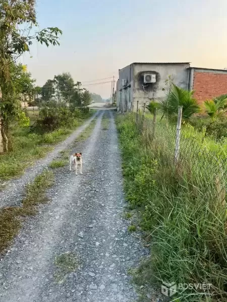 Bán đất thổ vườn 1/ Bàu Sen, xã Hòa Khánh Đông dt 420m2 (75m2 thổ) giá 1,8 tỷ