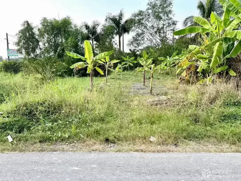 Bán nền thổ cư mt đường Nhựt Chánh, Mỹ Bình , Bến Lức dt 131,7m2 giá 1,35 tỷ