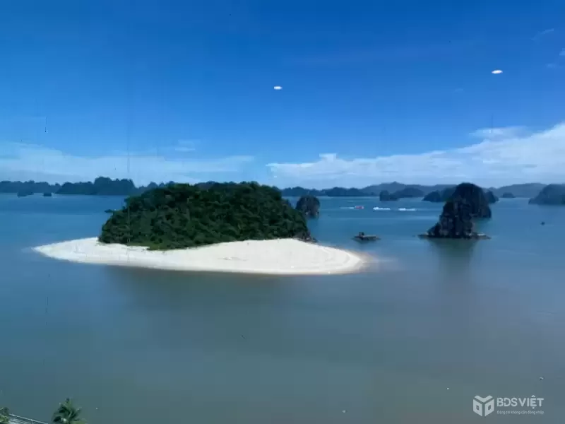 Tưng Bừng Khai XUân- Tặng NGay Xe VF3 khi sở hữu căn hộ nghỉ dưỡng chỉ từ 2ty