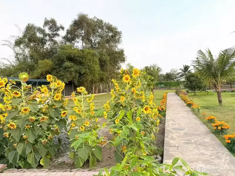 CẦN BÁN 2200M2 NHÀ VƯỜN NGHĨ DƯỠNG HẺM XE HƠI TỚI NHÀ