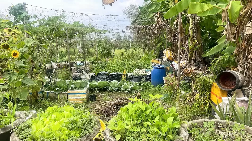 CẦN BÁN 250M2 ĐẤT THỔ CƯ HẺM BA GÁC GẦN QL1A