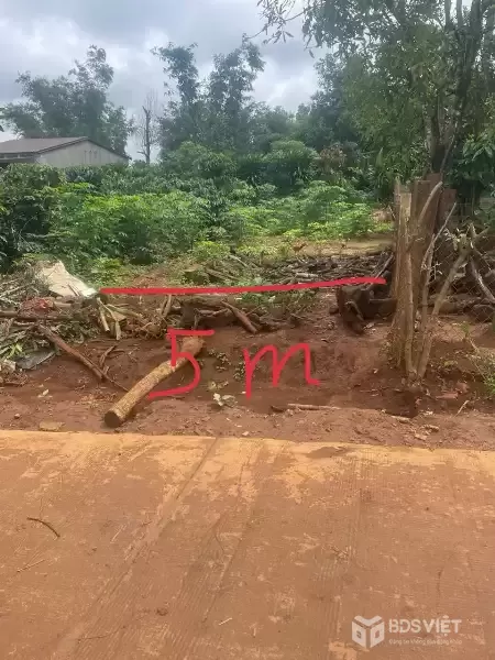 ĐẤT ĐẸP – GIÁ TỐT – CHÍNH CHỦ CẦN BÁN Đất Tại Thôn Brông Thông, Xã Ia Băng, Huyện Đak Đoa, Gia Lai.