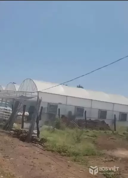 Bán nhà vườn 1000m2  Đức Trọng – Lâm Đồng - giá 3 tỷ 250 triệu