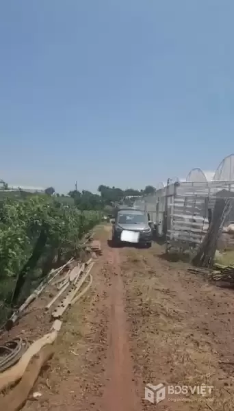 Bán nhà vườn 1000m2  Đức Trọng – Lâm Đồng - giá 3 tỷ 250 triệu