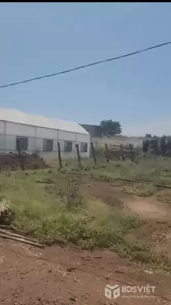 Bán nhà vườn 1000m2  Đức Trọng – Lâm Đồng - giá 3 tỷ 250 triệu