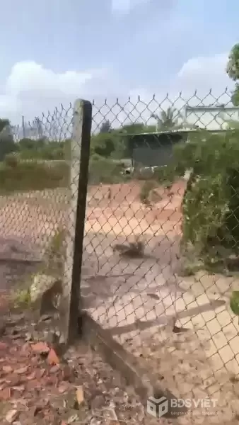 Bán đất 2 mặt tiền đường beton xã Lộc Giang , Đức Hòa tdt 820m2 ( 320m2 thổ) giá 1,7 tỷ