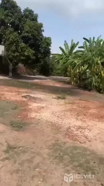 Bán đất 2 mặt tiền đường beton xã Lộc Giang , Đức Hòa tdt 820m2 ( 320m2 thổ) giá 1,7 tỷ