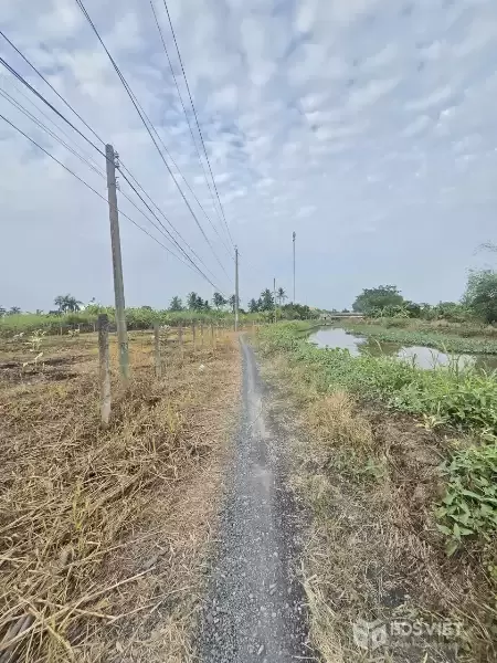 Bán đất 2 mặt tiền xã Tân Trạch , Cần Đước dt 1790m2 full thổ giá 17 tỷ