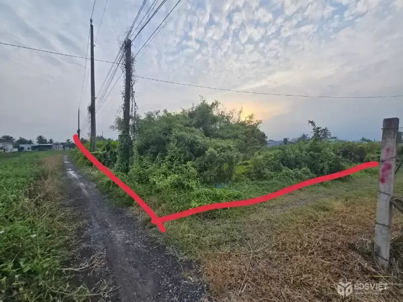 Bán đất 2 mặt tiền xã Tân Trạch , Cần Đước dt 1790m2 full thổ giá 17 tỷ