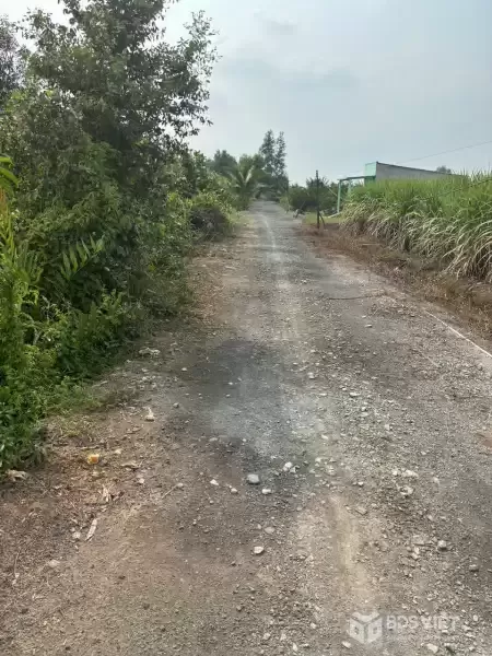 Bán đất vườn vuông vức đường xe oto đá xanh xã Lương Hòa dt 4800m2 giá 8,3 tỷ