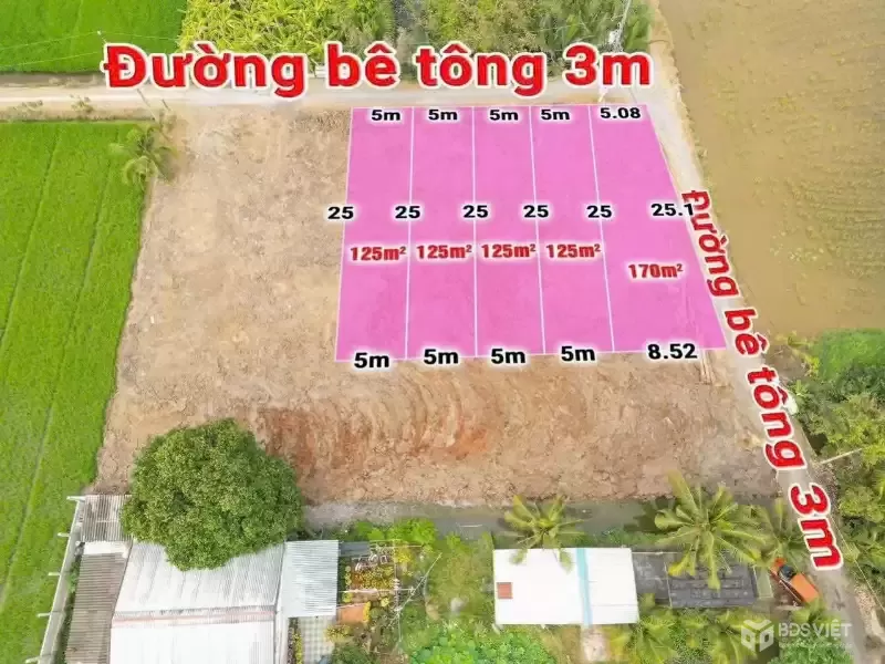 Bán 5 lô thổ cư liền kề ấp 4 Nhựt Chánh dt 125m2 giá 629tr/ lô