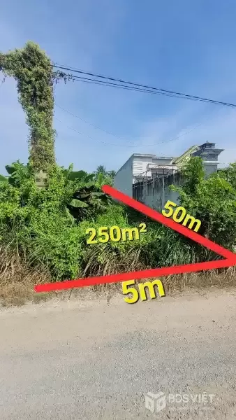 Bán đất thổ cư đường xe tải ấp 2 , Long Cang dt 250m2 full thổ giá chốt 1,25 tỷ