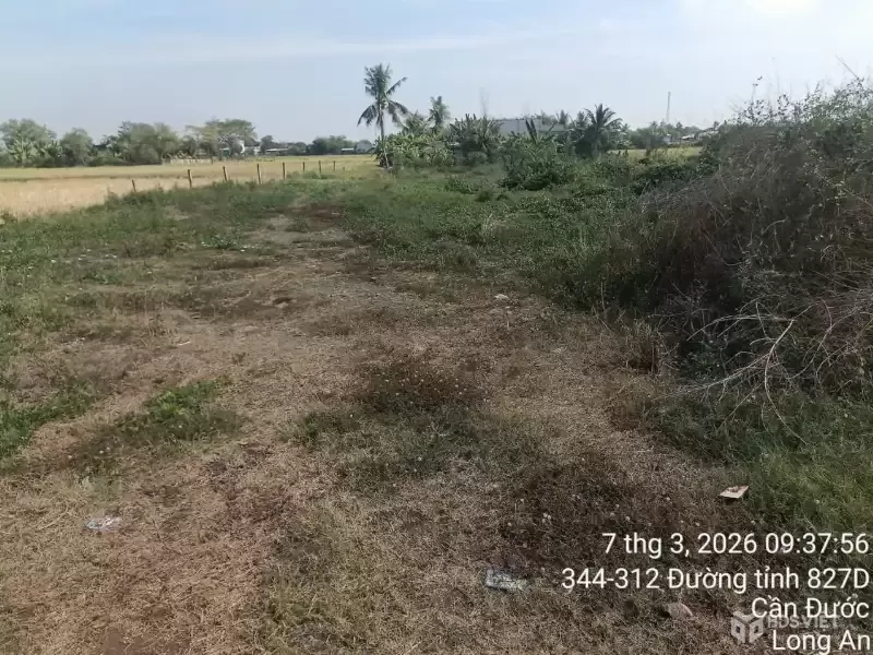 Bán đất mặt tiền đường Liên Xã Long Hòa - Long Khê , xã Long Hòa dt 143m2 full thổ giá 1,2 tỷ