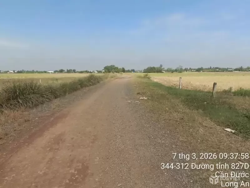 Bán đất mặt tiền đường Liên Xã Long Hòa - Long Khê , xã Long Hòa dt 143m2 full thổ giá 1,2 tỷ