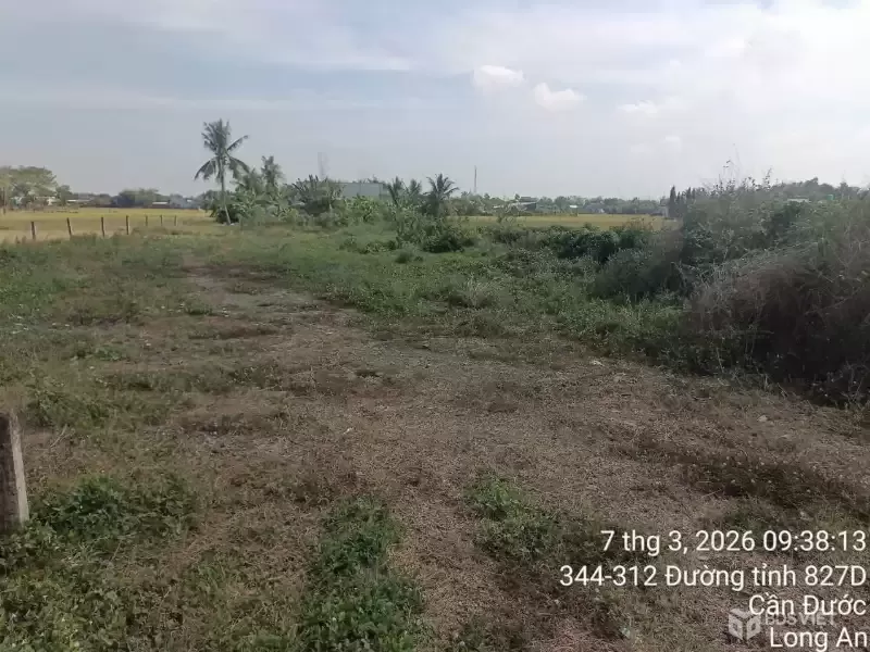 Bán đất mặt tiền đường Liên Xã Long Hòa - Long Khê , xã Long Hòa dt 143m2 full thổ giá 1,2 tỷ