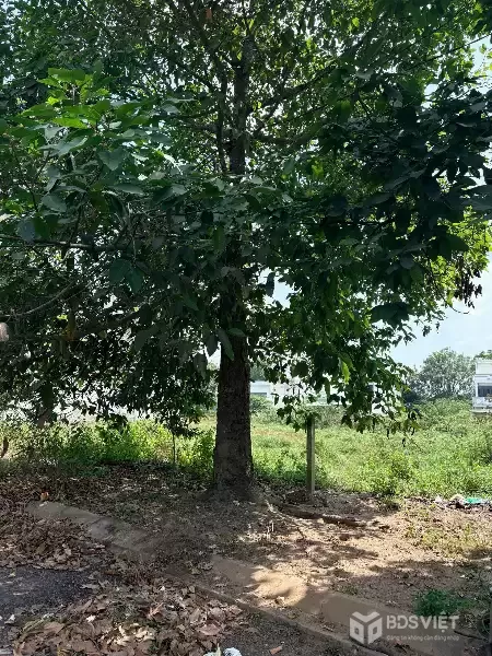 Bán nền thổ cư đường số 4, KDC 135 , thị trấn Bến Lức dt 144m2 giá 3,4 tỷ