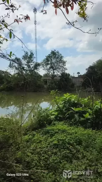 BÁN ĐẤT CHÍNH CHỦ - MẶT TIỀN Đường QL 30 Nguyễn Trãi, Ấp Mỹ Thuận, Xã Mỹ Thọ, Đồng Tháp